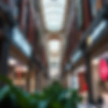 Magnificent Affordable Shopping Venues in Dubai
