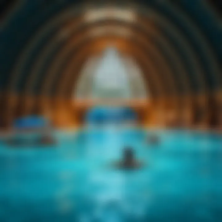 Magnificent Exploring Aqua Fun in Dubai: A Blend of Leisure and Innovation