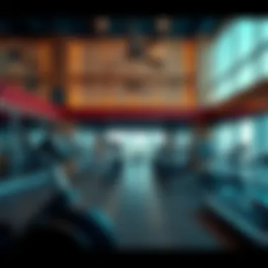 Magnificent Exploring the Best Gym Options in Bur Dubai Magnificent Exploring the Best Gym Options in Bur Dubai