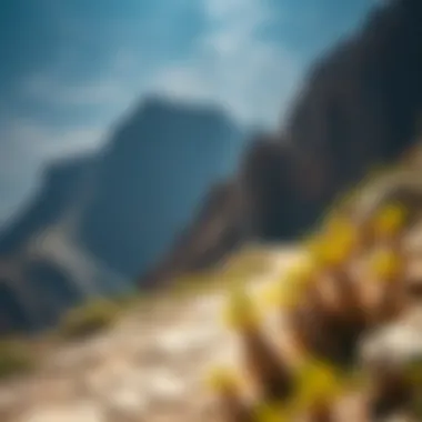 Magnificent Exploring the Hiking Trails of Hatta Magnificent Exploring the Hiking Trails of Hatta