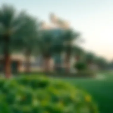 Magnificent The Largest Park in Dubai: An In-Depth Exploration Magnificent The Largest Park in Dubai: An In-Depth Exploration