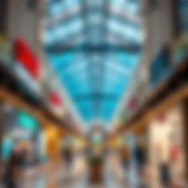 Affordable Shopping Venues in Dubai Summary Affordable Shopping Venues in Dubai Summary