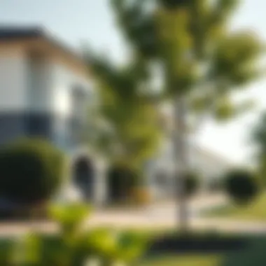 Community Features of Arabella Townhouse Development Community amenities including parks and recreational areas in Arabella