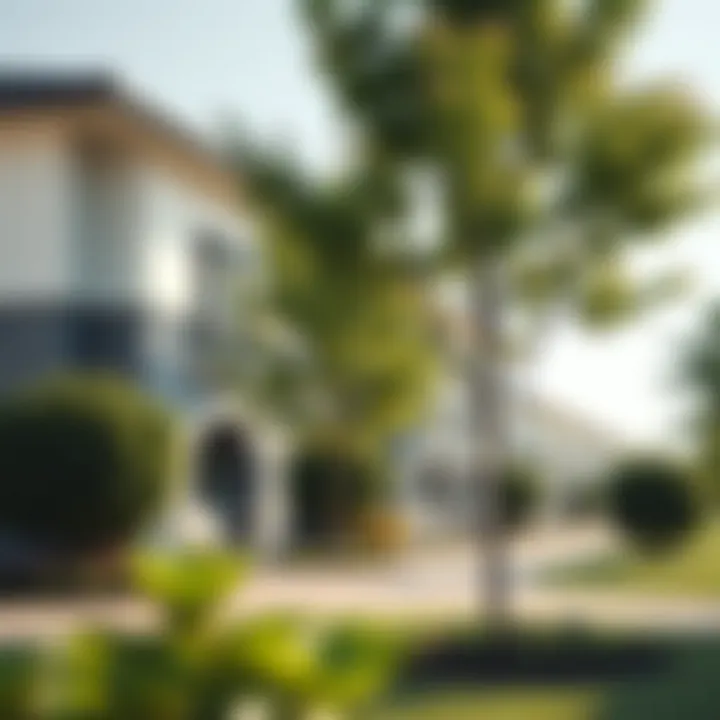 Community Features of Arabella Townhouse Development Community amenities including parks and recreational areas in Arabella