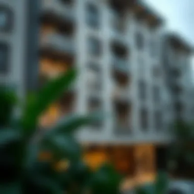 Comprehensive Overview of Studio Flat Rentals in International City Summary Comprehensive Overview of Studio Flat Rentals in International City Summary
