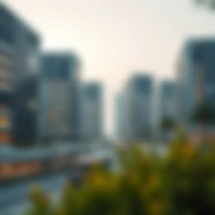Comprehensive Overview of the One Zabeel Project Summary