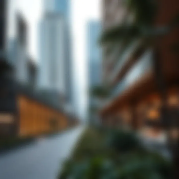 Sustainable Urban Spaces Transforming Dubai Sustainable urban spaces in Dubai