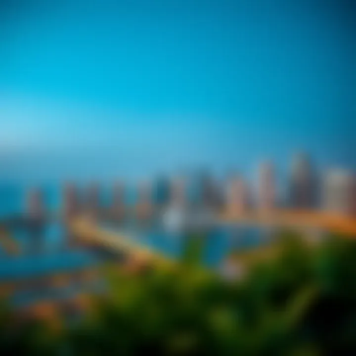 Panoramic view of Al Aqaar's skyline showcasing modern architecture