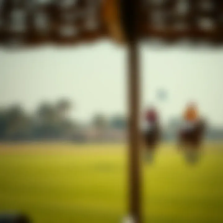 Scenic Polo Fields at الحبتور بولو A scenic view of the polo fields at الحبتور بولو during a match