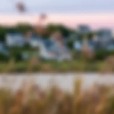 Coastal landscape surrounding beach houses