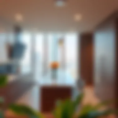 Modern kitchen design in Burj Khalifa