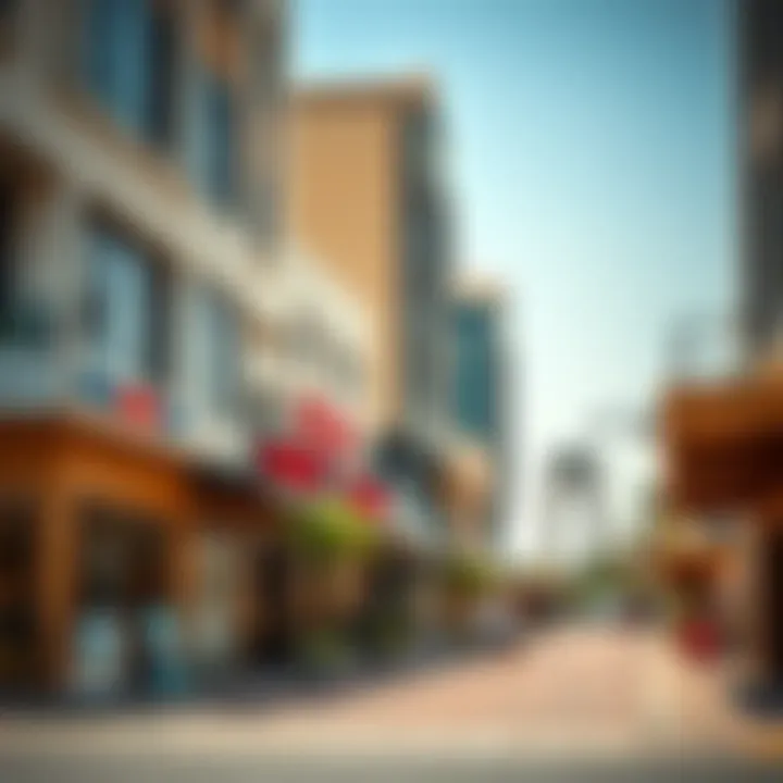 Overview of local amenities and shopping options in Arjan, Dubai