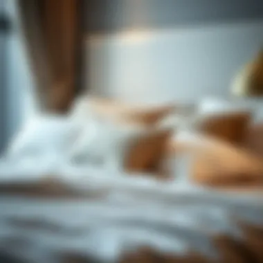 A close-up of comfortable bedding arrangements in a bed space.