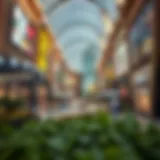 Exploring Dubai Hill Mall: A Comprehensive Overview Introduction