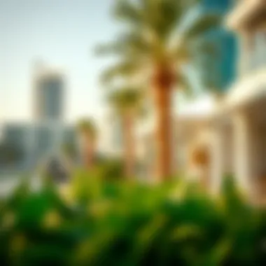 Community spaces promoting lifestyle in Dubai Pearl