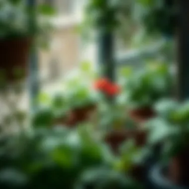 Close-Up of Thriving Plants in a Garden Tower A close-up view of various plants thriving in a garden tower setup