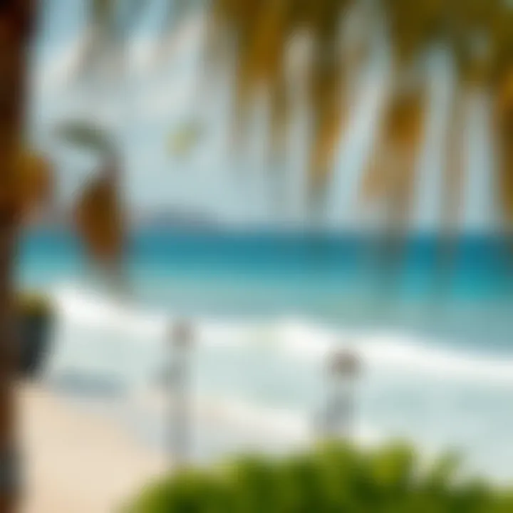 Notable Exploring Kite Beach: A Comprehensive Guide to Activities and Attractions