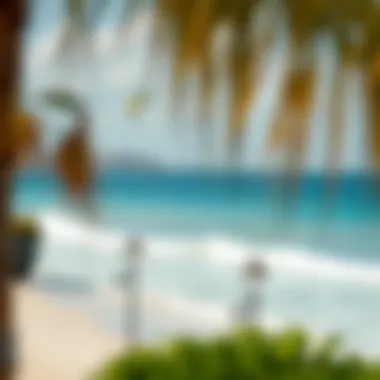 Notable Exploring Kite Beach: A Comprehensive Guide to Activities and Attractions Notable Exploring Kite Beach: A Comprehensive Guide to Activities and Attractions
