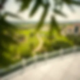 A panoramic view of lush green spaces in Liwa Al Khadra