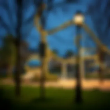 Community Amenities in the MBZ Zone Community features such as parks and recreation areas in the MBZ Zone.