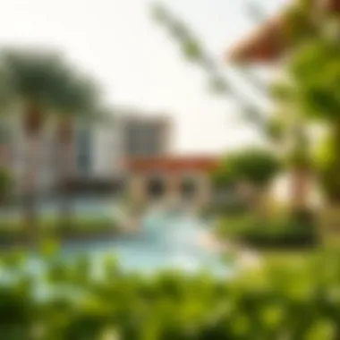 Community Amenities at Mulberry Luxurious community amenities in Mulberry