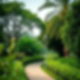 Lush greenery of Mushrif Park highlighting its ecological value