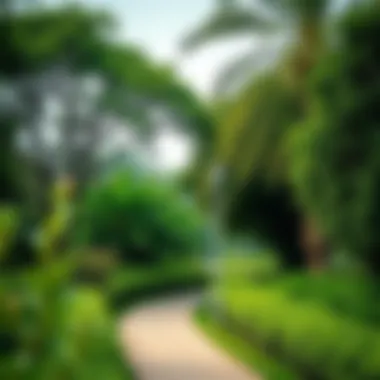 Lush greenery of Mushrif Park highlighting its ecological value