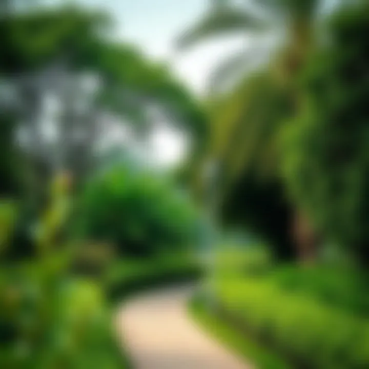Lush greenery of Mushrif Park highlighting its ecological value
