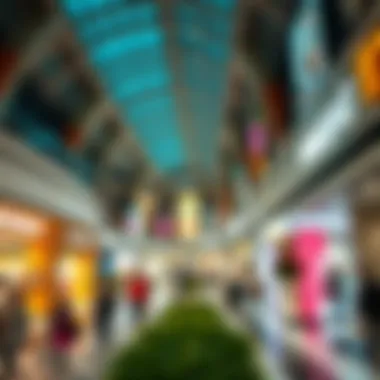 Vibrant shopping area filled with various retail outlets at Nakheel Mall