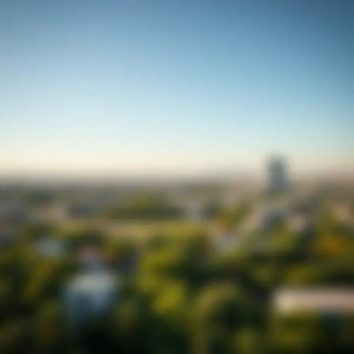 Panoramic View of Ras Al Khor A panoramic view of Ras Al Khor featuring lush greenery amidst urban structures