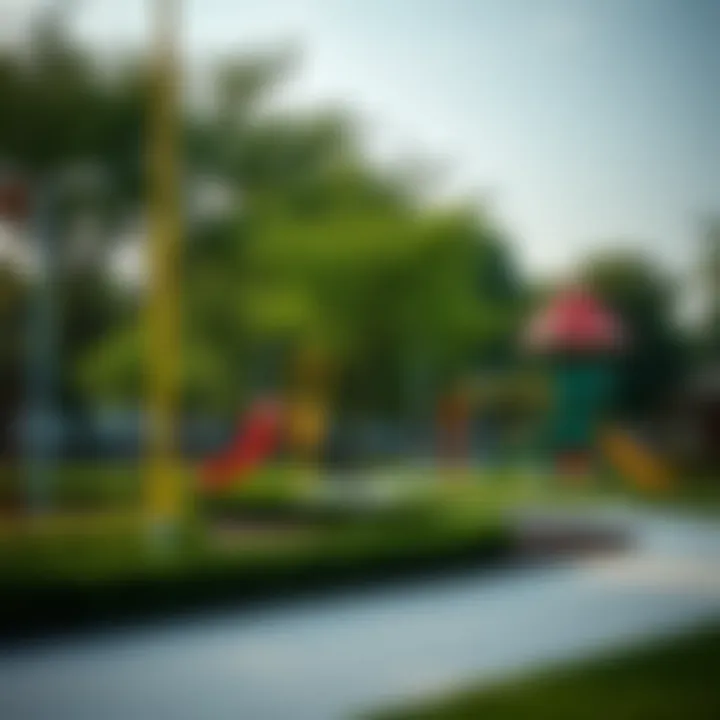 Recreational Facilities in Shakhbout City A vibrant neighborhood park in Shakhbout City featuring recreational facilities