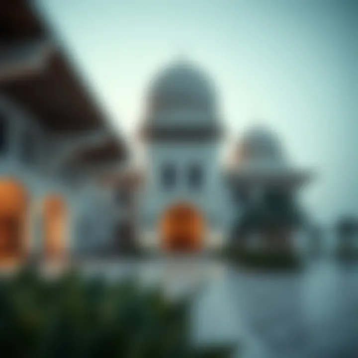 Exploring Safa 1 by Damac: A Comprehensive Guide Introduction