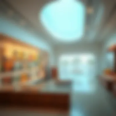 Art gallery hosting an innovative exhibition