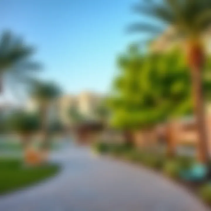 Community Park in Terra Dubai Community park highlighting green spaces in Terra Dubai