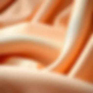 Detailed close-up of luxurious fabric textures used in cute lady abayas