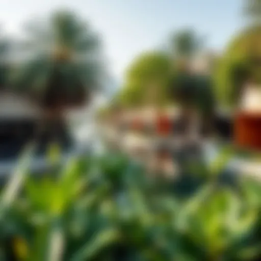 Serene Creek View Serene creek view showcasing lush greenery and reflective waters