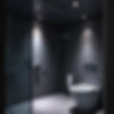 Overview of the shower area highlighting accessibility features