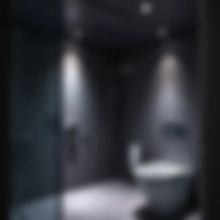 Overview of the shower area highlighting accessibility features