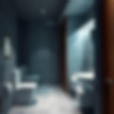 Luxurious shower facility at Dubai Airport