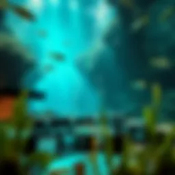 Breathtaking view of an aquarium dining experience