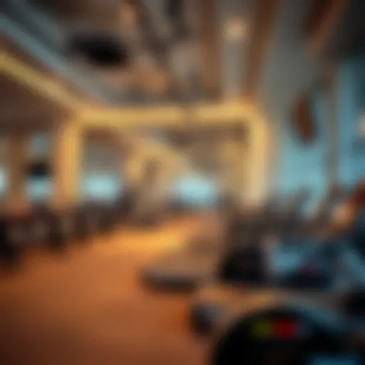Exploring the Best Gym Options in Bur Dubai Introduction