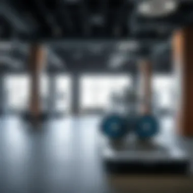 Exploring the Best Gym Options in Bur Dubai Summary Exploring the Best Gym Options in Bur Dubai Summary