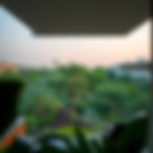 Lush Garden View from a Contemporary Apartment Lush garden view from a contemporary apartment in Dubai