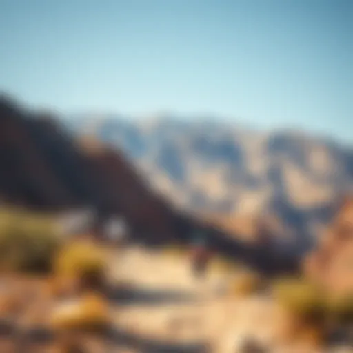 Exploring the Hiking Trails of Hatta Introduction