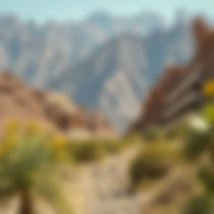 Exploring the Hiking Trails of Hatta Summary