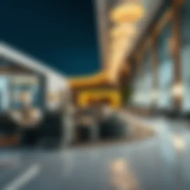 Exploring the UAE Remote Working Visa: Insights and Implications Summary Exploring the UAE Remote Working Visa: Insights and Implications Summary