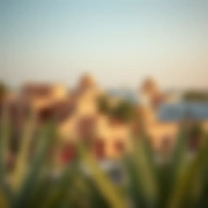 Panoramic view of Umm Al Ramool showcasing its residential architecture