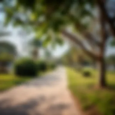 Peaceful Park in Umm Al Ramool A peaceful park in Umm Al Ramool offering green space for residents