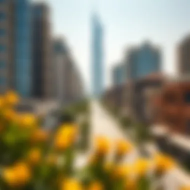 Community Development Around Hamdan Tower Community surrounding Hamdan Tower with modern developments