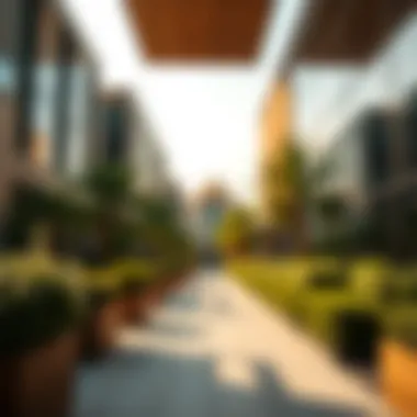 Impact of NOC on Investors and Homebuyers Implications of NOC for Investors